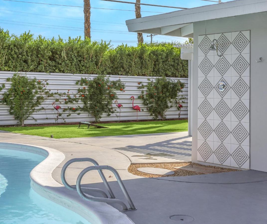 Desert Flamingo Ps - A Ryson Palm Springs