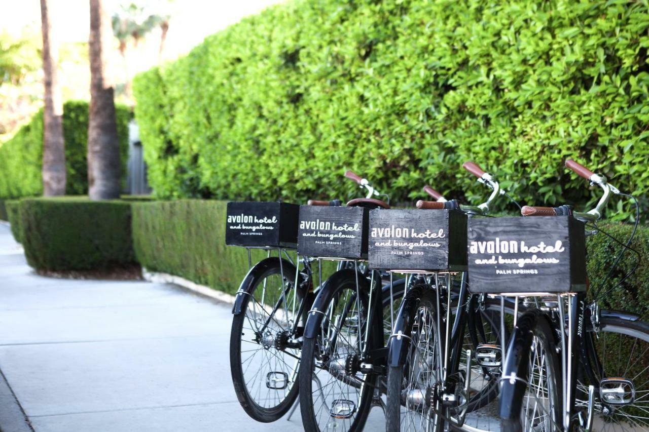 Hotel Avalon & Palm Springs, A Member Of Design Palm Springs