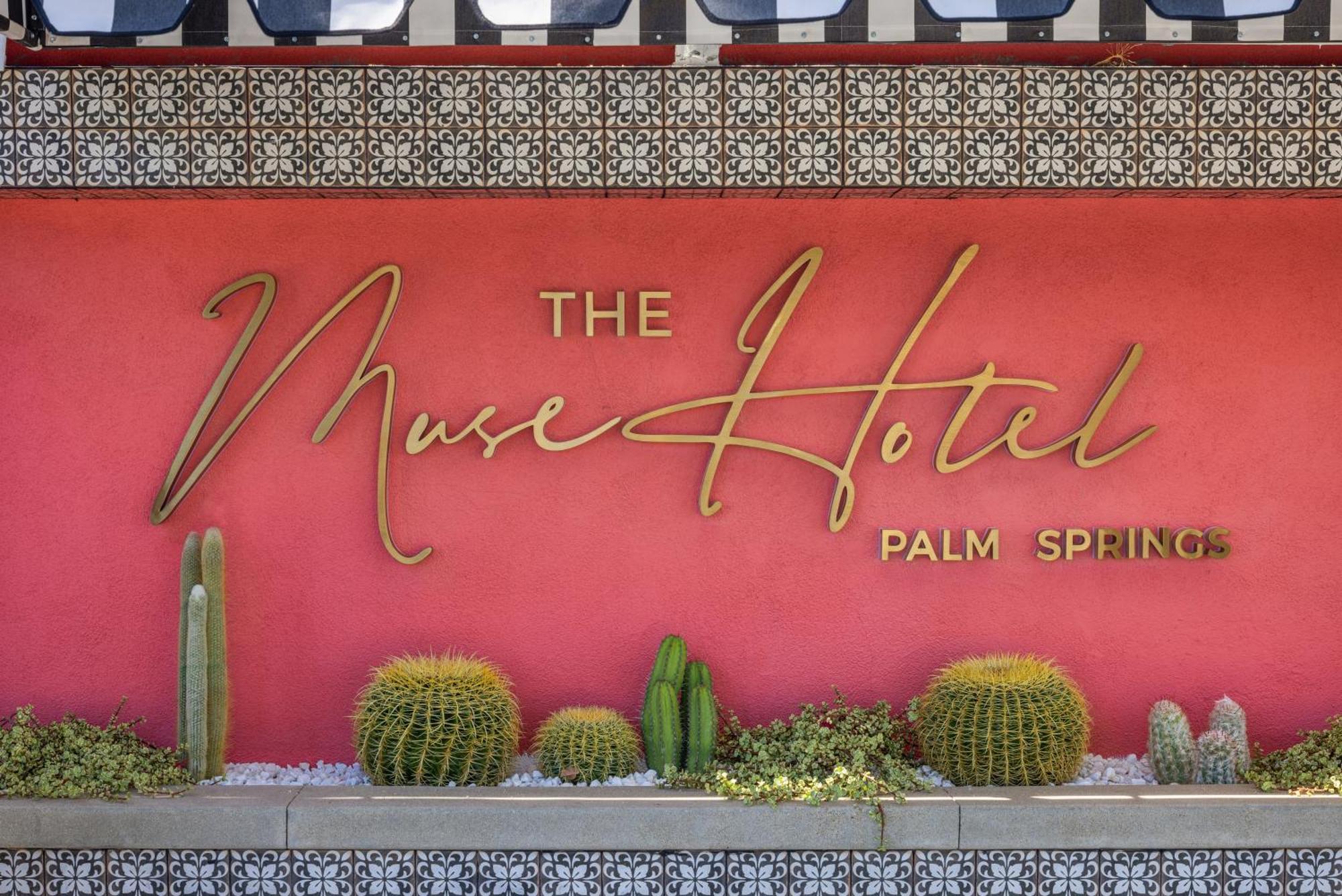 The Muse Boutique - Buyout Big Groups (adults Only)