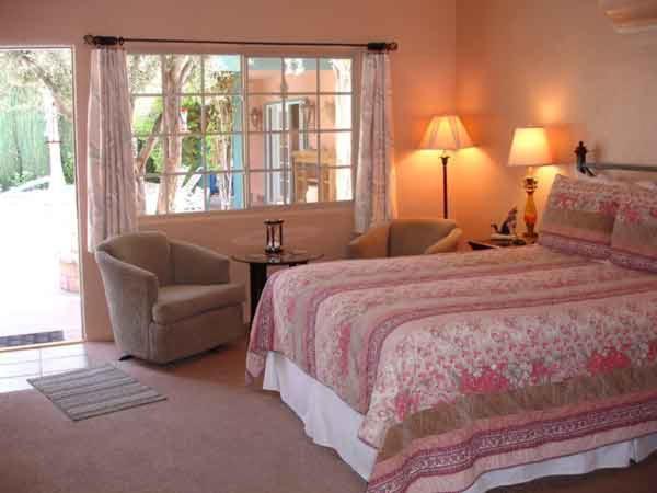 Coyote - 21 And Over Inn *