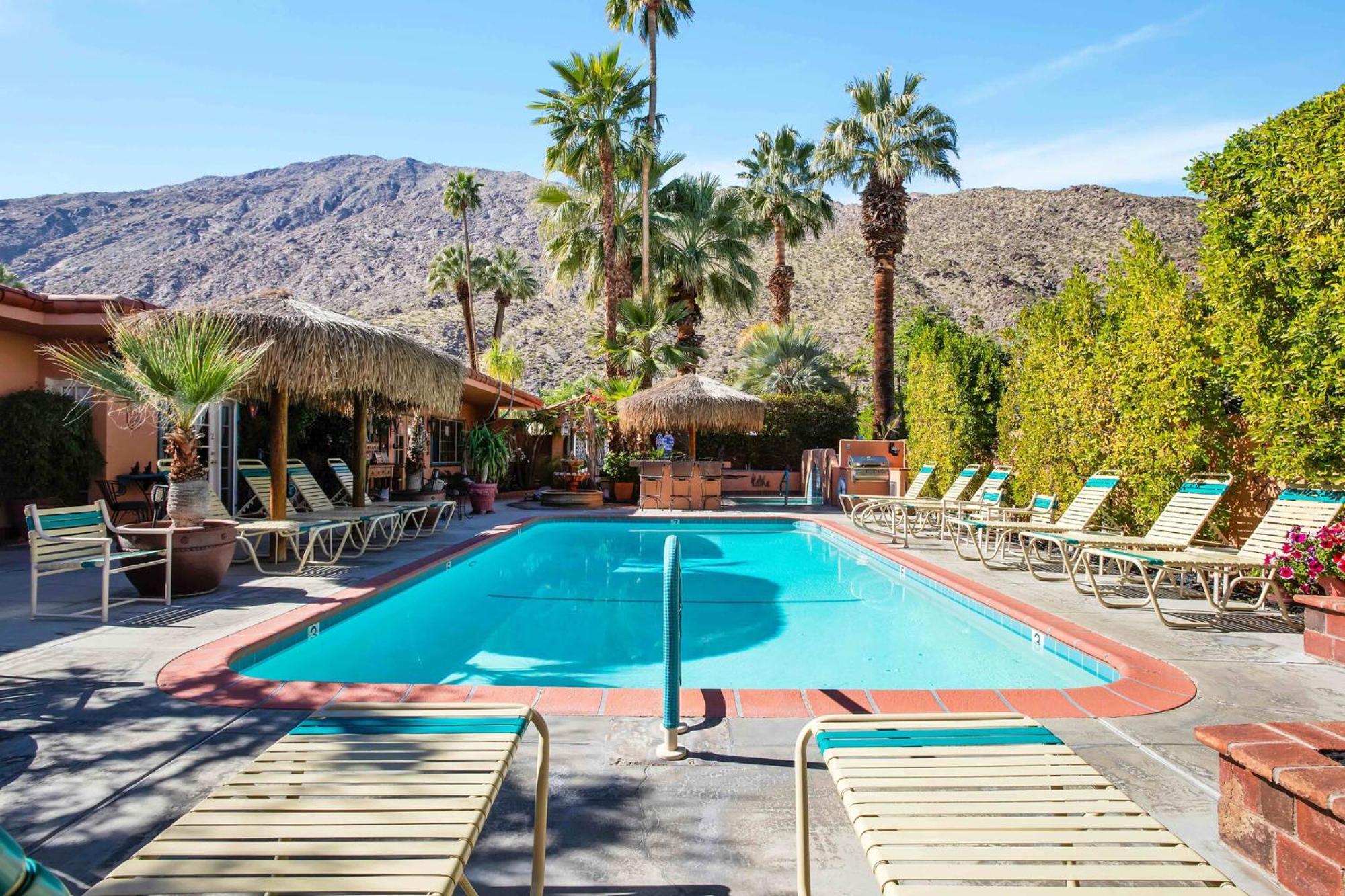 Inn Coyote - 21 And Over Palm Springs