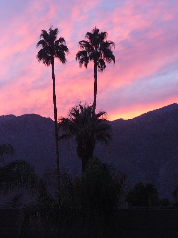 Avance 4* Palm Springs
