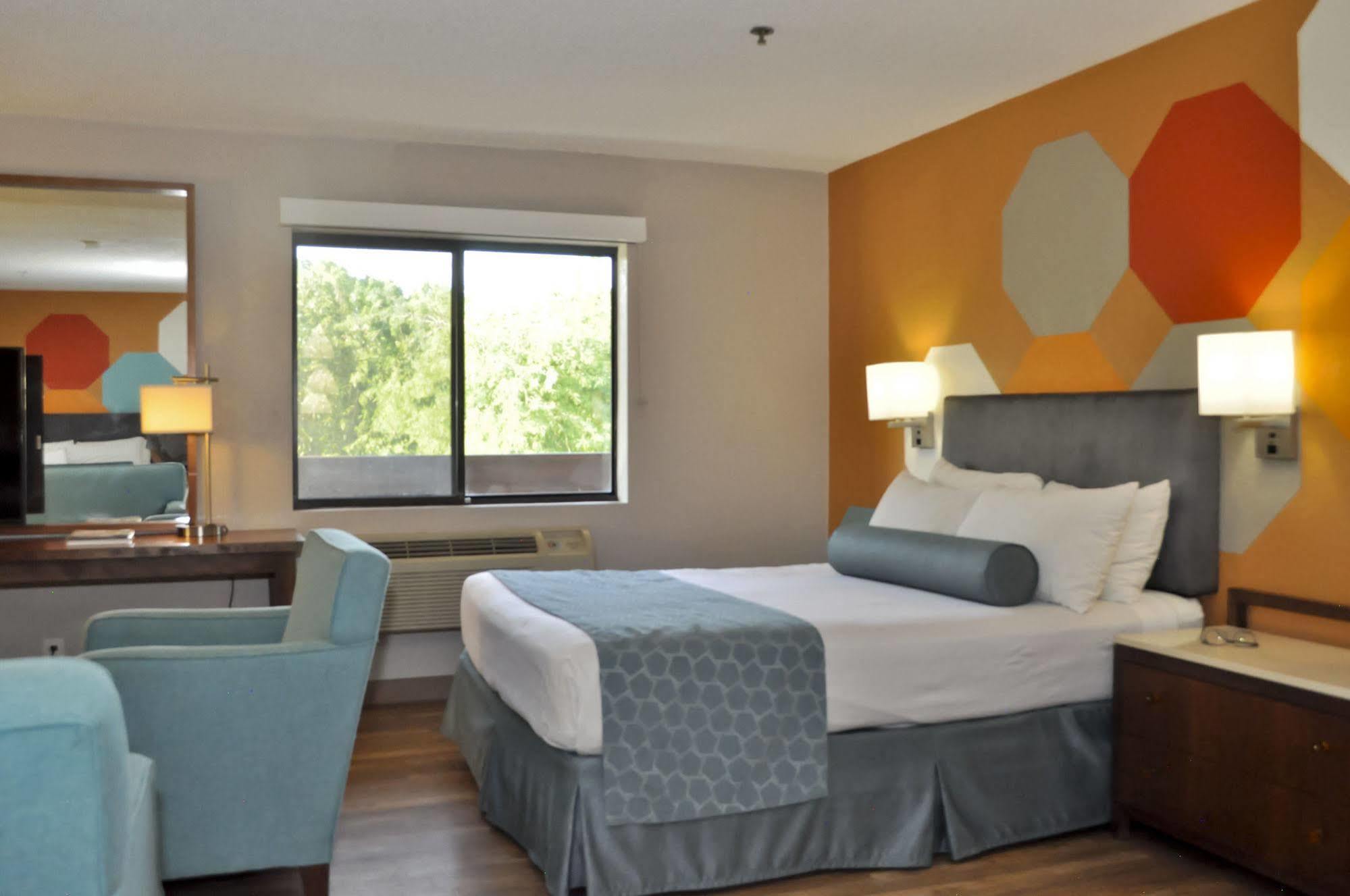 Hotel The Infusion Club