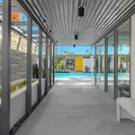 Limon Palm Springs A Luxury Boutique Hotel