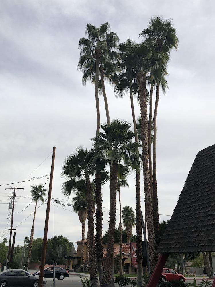 Desert 2* Palm Springs