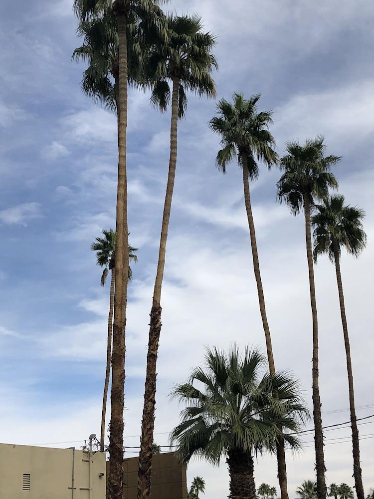 Desert 2*