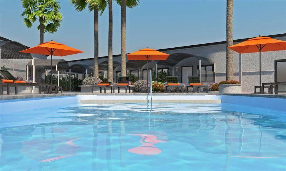 The Palm Springs