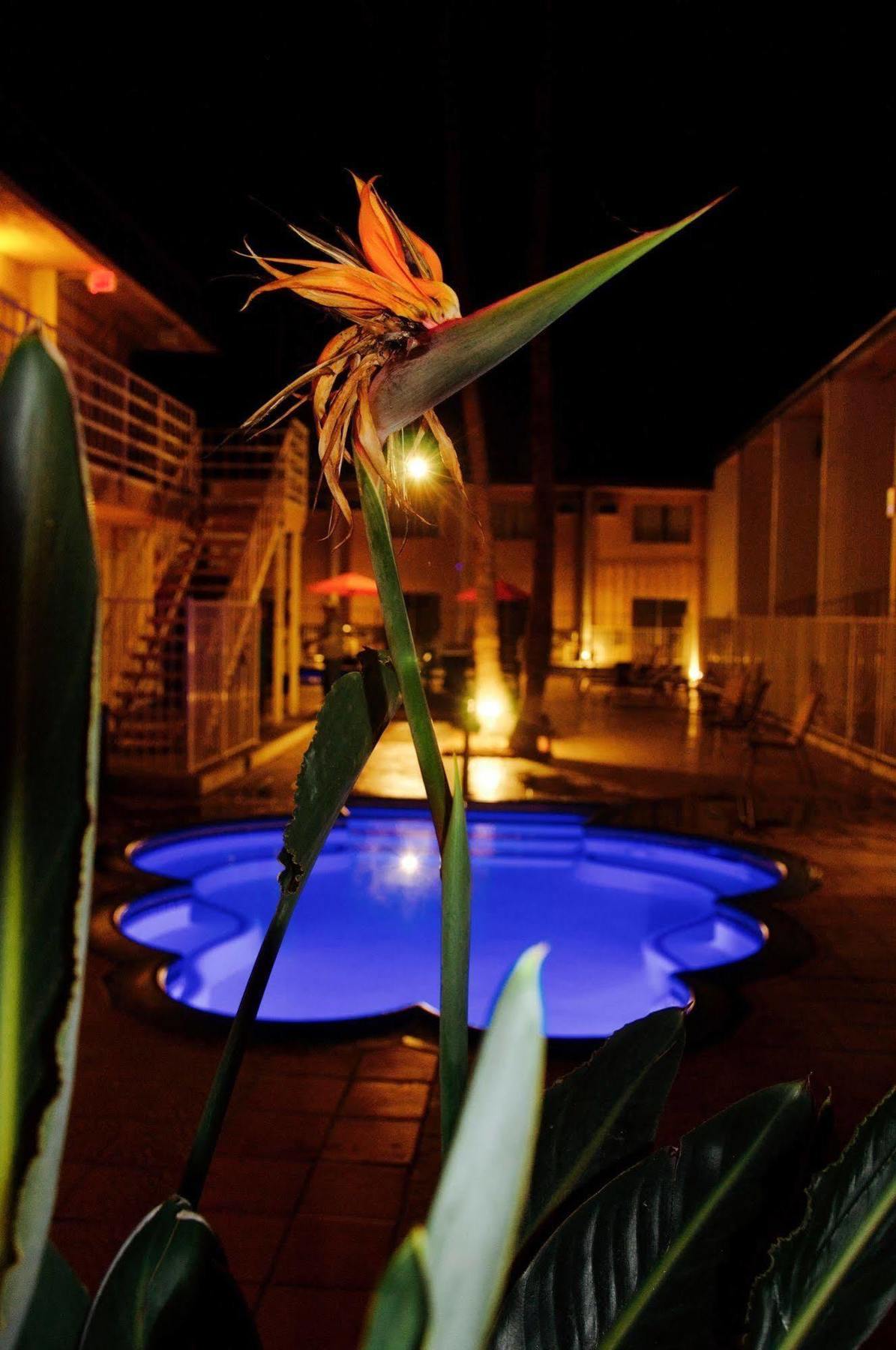 Delos Reyes Hotel Palm Springs